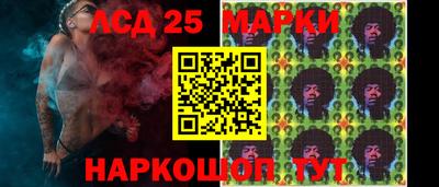 амф Сланцы