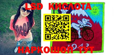 амф Сланцы