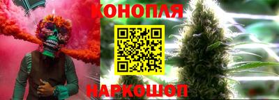амф Сланцы