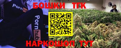 амф Сланцы