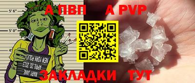 амф Сланцы