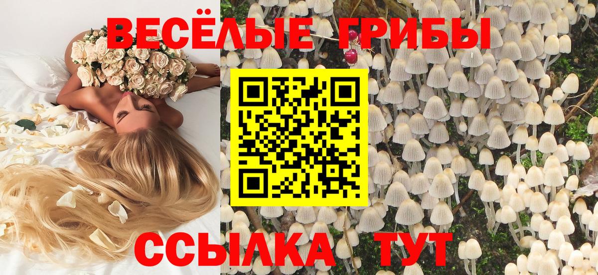 Галлюциногенные грибы прущие грибы Свободный
