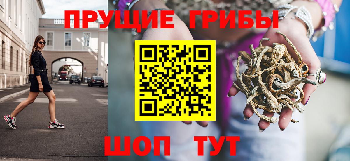 купить наркоту  Псилоцибиновые грибы Psilocybe  Вход с VPN  Свободный 